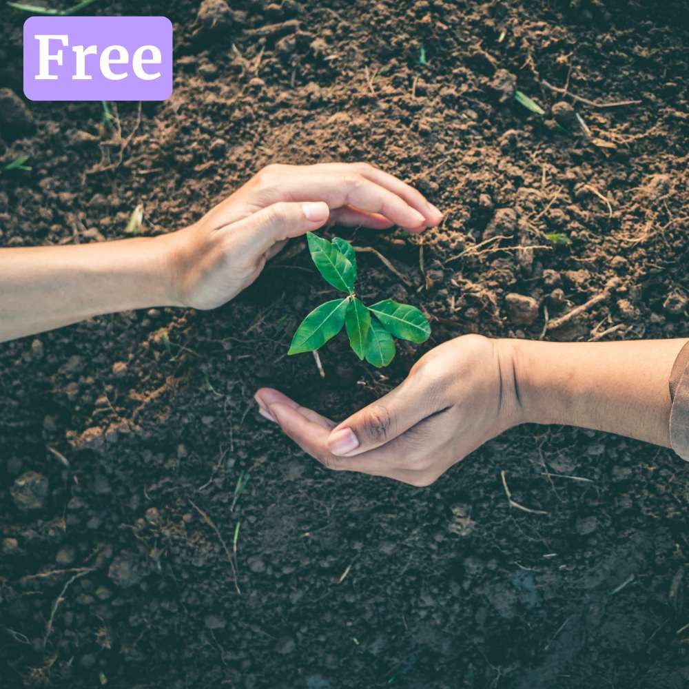 Complimentary Tree Planting