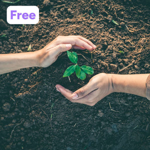 Complimentary Tree Planting