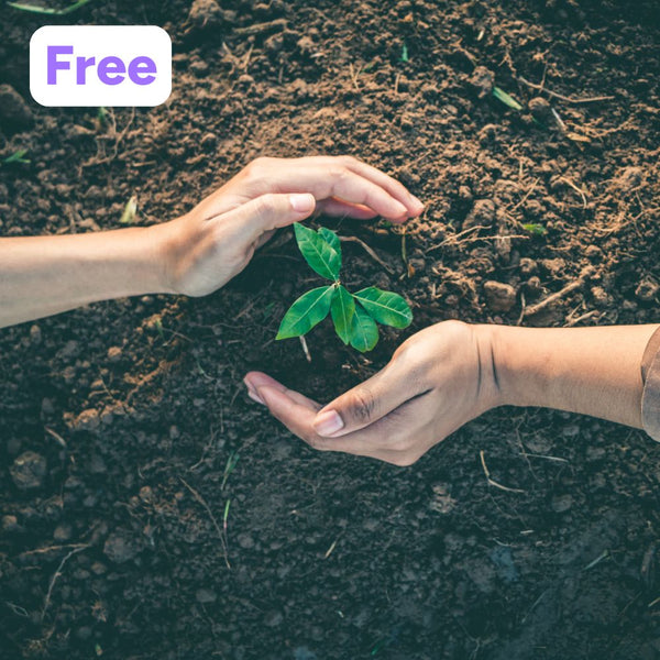 Complimentary Tree Planting